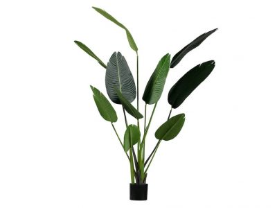 Strelitzia kunstplant groen 164cm