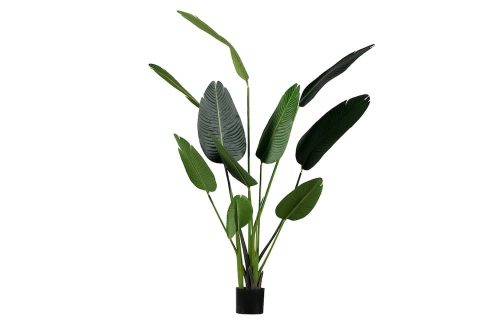Strelitzia kunstplant groen 164cm