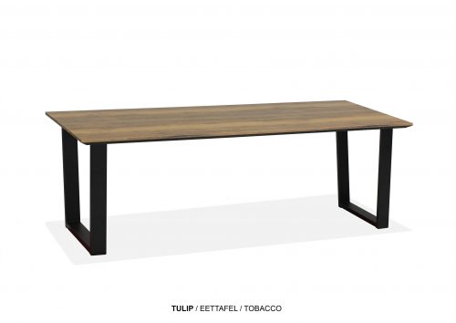 MX eettafel Tup-U of Tup-X, lamulux - Afbeelding 10