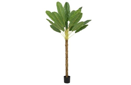 Bananenplant in pot groen L.120cm x W.100cm x H.180cm