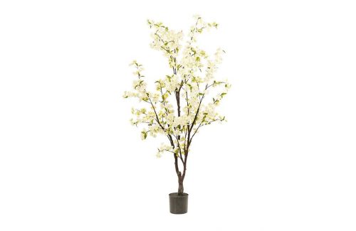 Bloesemboom in pot wit - H175