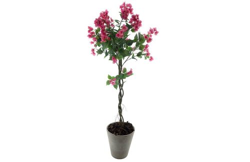 Bougainvillea tree in pot pink 165cm
