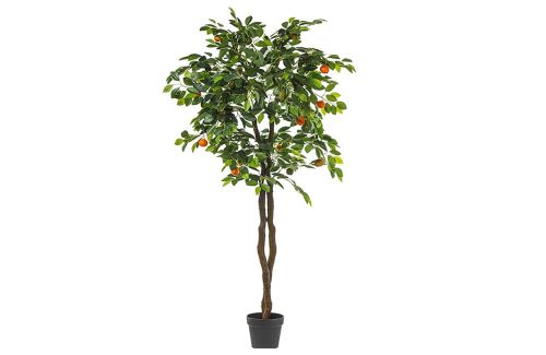 Clementine boom 180cm