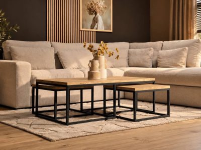 Salontafel set Dakota Naturel Mangohout 120 cm